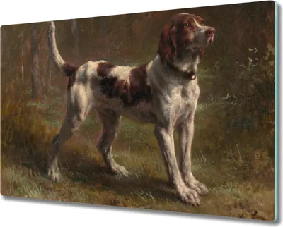 Produktbild von Coloray Hackbrett Küchenbrett Kochplattenabdeckung Schneidebrett Herdabdeckplatte 80x52 cm - Las Haustier Hund