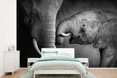Produktbild von MuchoWow® Fototapete für Wohnzimmer oder Schlafzimmer Wandtapete Vinyl Motivtapete Wildtiere - Elefant - Schwarz - Weiß - Porträt - 360x240 cm - Vinyl-Tapete