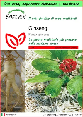 Immagine prodotto di SAFLAX Garden to go - Ginseng - 10 semi - Panax