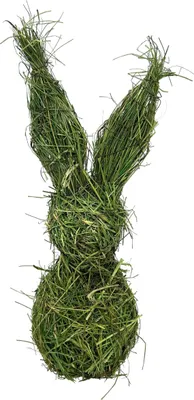 Produktbild von Exner Hase WILLOW grün 40cm