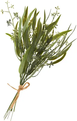 Produktbild von Eukalyptus-Bund mit Blüten