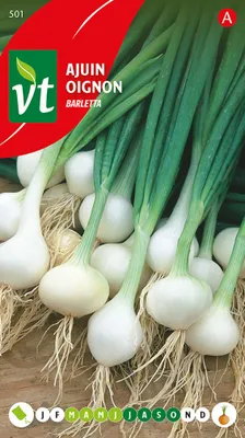 Immagine prodotto di Semi di cipolla di Barletta - Circa 4 gr | VT_501