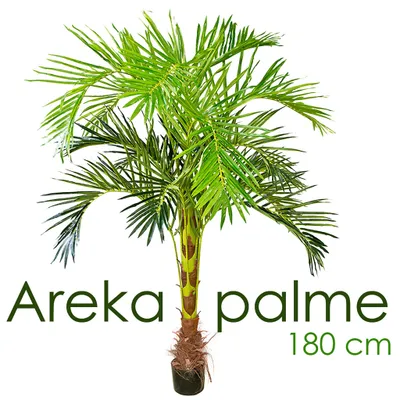 Immagine prodotto di Palmizio Palma Areca Pianta Albero Artificiale 180cm Decovego