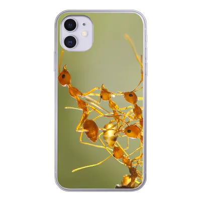 Produktbild von MuchoWow® Handyhülle Schutzhülle Hülle für iPhone 11 Ameisen - Orange - Tiere Silikon Softcase Handy Hülle - Handytasche