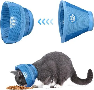 Produktbild von Famanu Katzenkragen - Schutzkragen für Katzen - Größe M