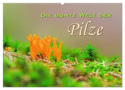 Produktbild von Die bunte Welt der Pilze (Wandkalender 2027 DIN A2 quer), CALVENDO Monatskalender