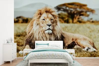 Produktbild von Wildtier-Wandbild Afrika - Breite 360 cm x Höhe 240 cm