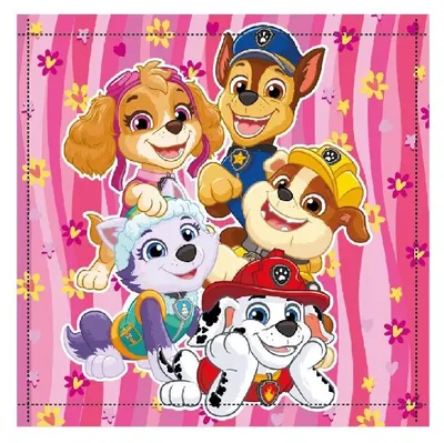 Produktbild von Paw Patrol Happy Team Handtuch, Gesichtstuch 30x30cm