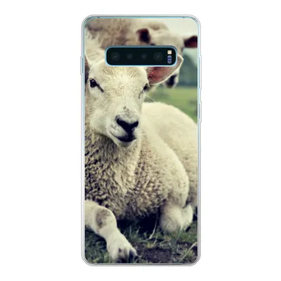 Produktbild von MuchoWow® Handyhülle Schutzhülle Hülle für Samsung Galaxy S10 Lite Schaf - Lamm - Gras Silikon Softcase Handy Hülle - Schutz