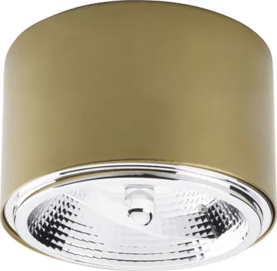 Zdjęcie produktu dla Lampa sufitowa MORIS AR111 12W TK-Lighting 3349