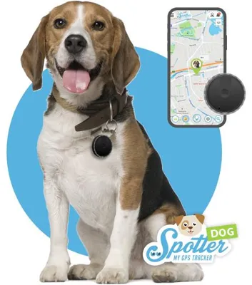 Produktbild von Pet Spotter | Der kleinste Hunden-GPS-Tracker | Zur Befestigung am Halsband | Aktivitätentracker | Ohne Abonnement