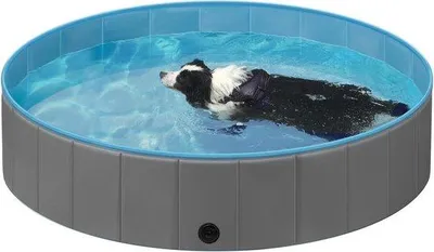 Produktbild von Famanu Haustierpool faltbar grau/blau 80x20cm für Hunde und Katzen