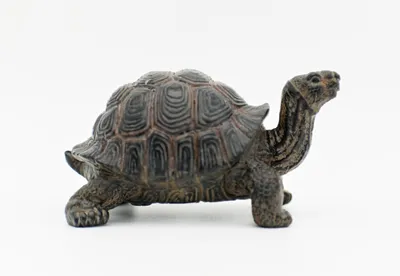 Produktbild von Design Dekofigur Kleine Schildkröte 12,5x24,5cm aus Poly Wohnzimmer Tierfigur Garten Deko Modern Gartendeko Gartenfigur (Schildkröte klein)