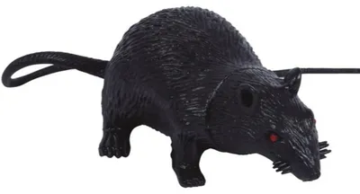 Zdjęcie produktu dla Guirca Ratte 15 Cm Jeden rozmiar