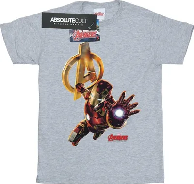 Produktbild von Marvel - T-Shirt für Herren BI12240 (M) (Grau)