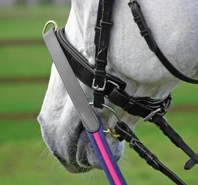 Produktbild von Busse Longierreithalfter HO schwarz, Busse_17_Groessen:Warmblut
