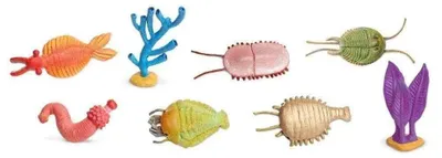 Image de Safari Ltd Cambrian Life Toob Figur Mehrfarbig From 3 Years Mehrfarbig From 3 Years