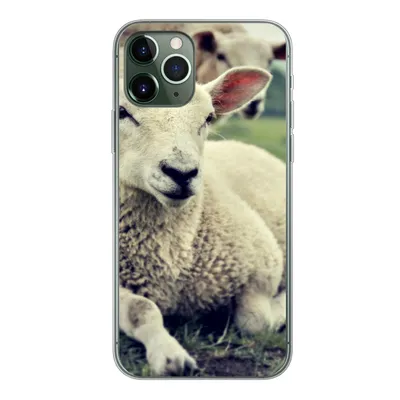 Produktbild von MuchoWow® Handyhülle Schutzhülle Hülle für iPhone 11 Pro Schaf - Lamm - Gras Silikon Softcase Handy Hülle - Handy