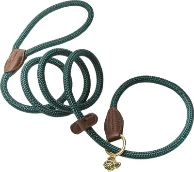 Image de Digby & Fox - Laisse pour chien en cuir ER2075 (taille unique) (Vert)