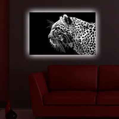 Produktbild von Opviq, 4570DACT- SHN3293, Bunt, Leinwandbilder, 45 x 70 cm, 100% Wildleder -Leinwand