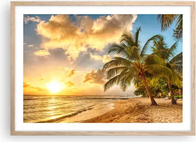 Produktbild von Gerahmtes Poster - Rahmen in heller Eiche - Strand Meer Palme - 70x50 cm - Wand Bild - Wanddeko - Wandbilder - Wandposter - Bilderrahmen - Bilder - Kunstdruck - Wandbild - P2NAA70x50-3606