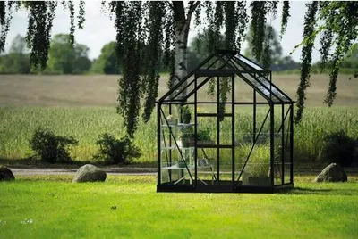 Produktbild von Gewächshaus Halls Icon 2,5 m² Blankglas 3 mm 192,5 x 130,3 cm schwarz