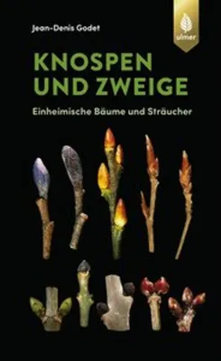 Produktbild von Knospen und Zweige
