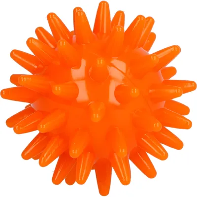Immagine prodotto di Palla da massaggio per ricci 5 cm sciolta 1 pz