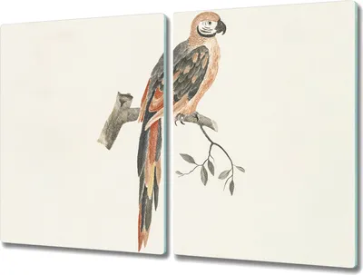 Produktbild von Coloray Hackbrett Kochplattenabdeckung Herdabdeckplatte 2x40x52 cm Schneidebrett Küchenbrett - Tier Vogel Zweig