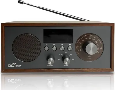 Imagen del producto de Radio portátil LTC LXLTC511BC, color marrón-grafito, con funciones multimedia y cargador inalámbrico