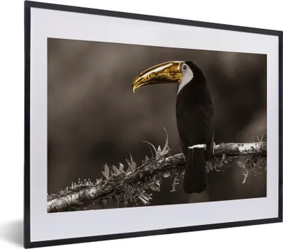 Produktbild von MuchoWow® Gerahmtes Poster Vogel - Tukan - Gold - Schwarz 40x30 cm - Poster mit Schwarzem Bilderrahmen Wandposter Rahmen Foto Bilder - Bilderrahmen - Poster im Rahmen