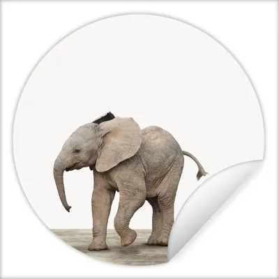 Produktbild von MuchoWow® Runde Wandtattoo - Wandsticker Tapete Aufkleber Baby-Elefant - Tiere - Kinder - Mädchen - Jungen Ø 100 cm Selbstklebend und Repositionierbar - Wandaufkleber - Kreis - Tapetenkreis - Wandbild rund - Schlafzimmerdekoration - Wanddeko - runde Tapete - Kunst für zu Hause