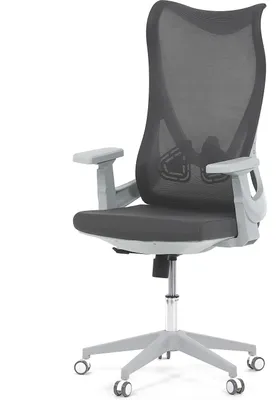 Obrázek produktu pro Autronic Židle kancelářská KA-S248 GREY