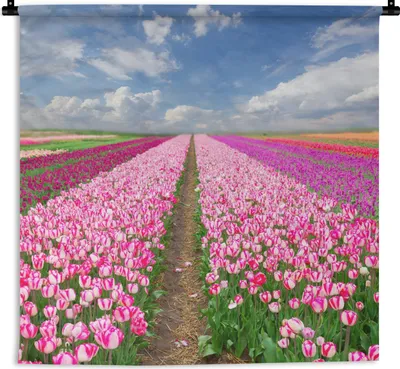 Produktbild von MuchoWow® Wandteppich Wandbehang Tulpen - Sonne - Frühling 60x60 cm Tapisserie Dekoration Wandtuch - Dekorationen - Wand Decke