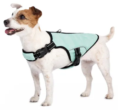 Produktbild von Kühlweste für Hunde Reflektierend Atmungsaktiv Mesh Hundejacke Sommer Grün Größe M
