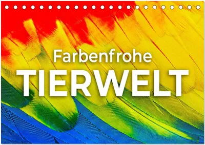 Produktbild von Farbenfrohe Tierwelt (Tischkalender 2025 DIN A5 quer), CALVENDO Monatskalender