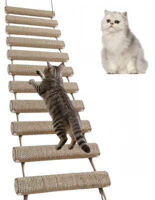 Produktbild von Katzenleiter mit Sisal Seil - Kletterzubehör für Kätzchen und Katzen