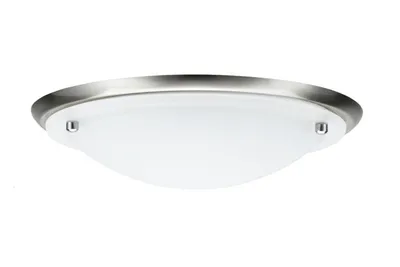 Produktbild von Paulmann WallCeiling Arctus IP44 max.60W E27 275mm Eisen geb/Opak 230V Metall/Glas