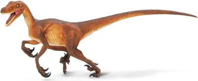 Obrázek produktu pro Safari Ltd 299929 Velociraptor 21 cm Dinosaurier Series