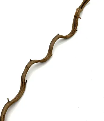Image de BioThai Liane 1-2 cm / 100 cm