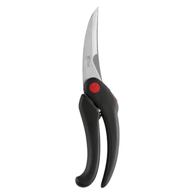 Obrázek produktu pro ZWILLING 4009839532252, Drůbež, Černá, Nerezová ocel, Plast, 250 mm
