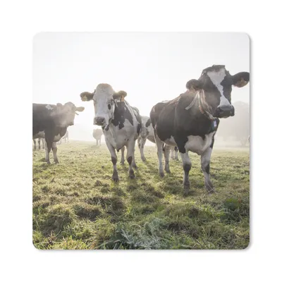 Produktbild von MuchoWow® Mauspad Mousepad Kuh - Gras - Nebel 20x20 cm - Mousepads - Maus Mat - Pad - Mausunterlage - Desk Mat - Bureauartikeln
