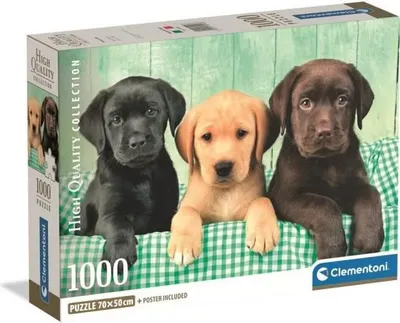 Produktbild von Puzzle, CLEMENTONI Compact 1000 Teile, Three Labs, 70 x 50 cm, Inklusive Poster