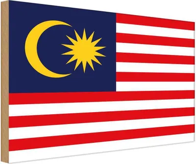 Image de vianmo Panneau en bois 20x30 cm Drapeau Malaysias Flag of Malaysia