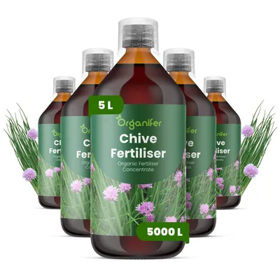Obrázok produktu pre Pažítka – Tekuté hnojivo 5 x 1 L – NPK 2-1-8 – Pre bylinky – Pre aromatické listy a silný rast – Podporuje korene a vitalitu – Organický produkt