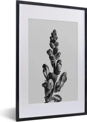 Produktbild von MuchoWow® MuchoWow® Gerahmtes Poster Pflanze - Schwarz - Weiß - Abstrakt 40x60 cm - Poster mit zchwarzem Bilderrahmen - Poster in Rahmen