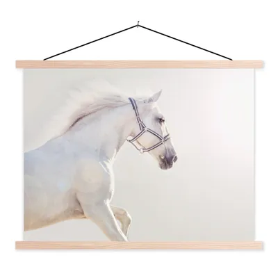 Produktbild von MuchoWow® Textilposter Pferd - Weiß - Mähne 60x45 cm mit holzfarbenen Rahmen - Bild