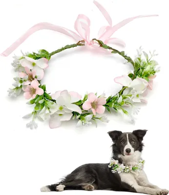 Imagen del producto de Accesorios para mascotas - Plástico - Ajustable - Rosa