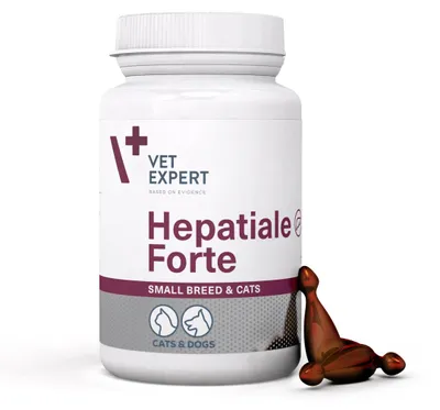 Productafbeelding van Vet Expert Hepatiale Forte, 40 capsules. Een supplement ter ondersteuning van de leverfunctie voor kleine honden en katten