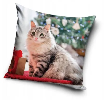 Produktbild von Carbotex Kissenhülle Jaśka Velvet Weihnachtlich 40x40 cm